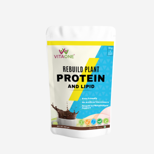 Plant Protein and Lipid Chocolate